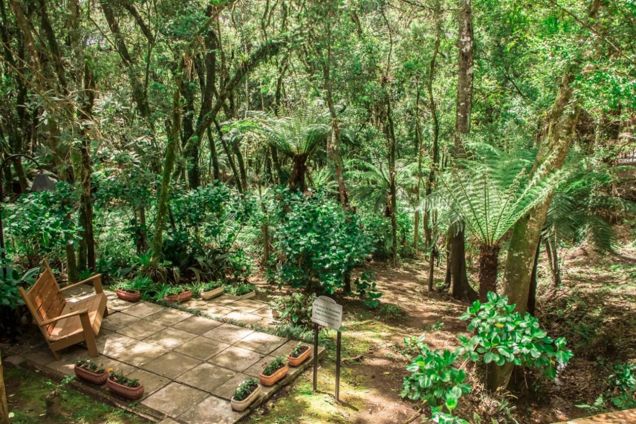 Hotel Pousada Cozumel Sierra Canela Ngoại thất bức ảnh